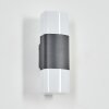 Felor Lampada da parete per esterno, Lampade Up & Down, Applique LED Antracite, 2-Luci