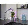 Illuminazione Osram E27 20 Watt 650 Lumen