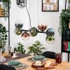 Gastor Lampadario a sospensione, Lampada a sfera, Lampada a sospensione Blu, Verde, Chiaro, Ramato, 8-Luci