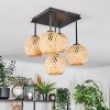 Basto Plafoniera, Lampada a sfera Écru, 5-Luci
