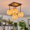 Basto Plafoniera, Lampada a sfera Écru, 5-Luci