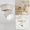 Narel Plafoniera LED Sabbia, 1-Luce