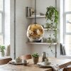 Ripoll Lampadario a sospensione, Lampada a sfera, Lampada a sospensione Oro, Chiaro, 1-Luce