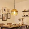 Koyoto Lampadario a sospensione, Lampada a sfera, Lampada a sospensione Oro, Chiaro, 1-Luce