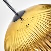 Koyoto Lampadario a sospensione, Lampada a sfera, Lampada a sospensione Oro, Chiaro, 1-Luce