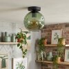 Ripoll Plafoniera, Lampada a sfera Verde, 1-Luce