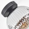 Ripoll Plafoniera, Lampada a sfera Cromo, Chiaro, Grigio fumo, 1-Luce