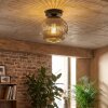 Ripoll Plafoniera, Lampada a sfera Cromo, Grigio fumo, 1-Luce