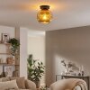 Ripoll Plafoniera, Lampada a sfera Oro, 1-Luce