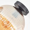 Ripoll Plafoniera, Lampada a sfera Ambrato, 1-Luce