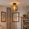 Ripoll Plafoniera, Lampada a sfera Oro, 1-Luce