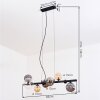 Chehalis Lampadario a sospensione, Lampada a sfera, Lampada a sospensione Ambrato, Chiaro, Grigio fumo, 8-Luci