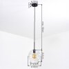 Ripoll Lampadario a sospensione, Lampada a sfera, Lampada a sospensione Chiaro, 1-Luce
