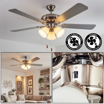 Stelo Plafoniera, Lampada con ventilatore Écru, Nichel opaco, Argento, 3-Luci