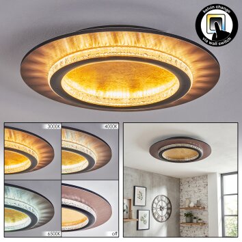 Lidor Plafoniera LED Oro, Nero, 1-Luce