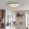 Lidor Plafoniera LED Grigio, Bianco, 1-Luce