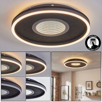 Halor Plafoniera LED Nero, 1-Luce