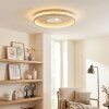 Halin Plafoniera LED Sabbia, Trasparente, chiaro, 1-Luce, Telecomando