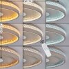 Halin Plafoniera LED Sabbia, Trasparente, chiaro, 1-Luce, Telecomando