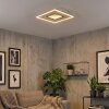 Hadel Plafoniera LED Grigio, Bianco, 1-Luce