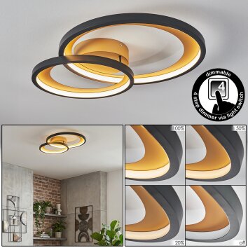 Baiyin Plafoniera LED Oro, Nero, 1-Luce