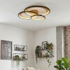 Baiyin Plafoniera LED Oro, Nero, 1-Luce