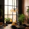 Mertola Lampadario a sospensione, Lampada a sospensione Ambrato, Chiaro, 1-Luce