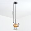 Ripoll Lampadario a sospensione, Lampada a sfera, Lampada a sospensione Ambrato, 1-Luce