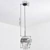 Ripoll Lampadario a sospensione, Lampada a sfera, Lampada a sospensione Cromo, Chiaro, Grigio fumo, 1-Luce