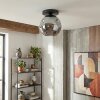 Ripoll Plafoniera, Lampada a sfera Grigio fumo, 1-Luce