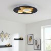 Holan Plafoniera LED Oro, Nero, Bianco, 1-Luce