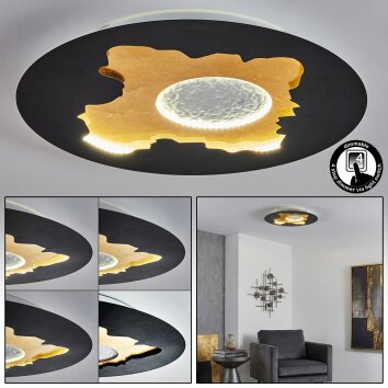 Holan Plafoniera LED Oro, Nero, Bianco, 1-Luce