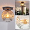 Ripoll Plafoniera, Lampada a sfera Ambrato, Chiaro, 1-Luce