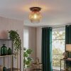 Ripoll Plafoniera, Lampada a sfera Ambrato, Chiaro, 1-Luce