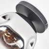 Ripoll Plafoniera, Lampada a sfera Cromo, Chiaro, Grigio fumo, 1-Luce