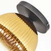 Koyoto Plafoniera, Lampada a sfera 26 cm Oro, Chiaro, 1-Luce