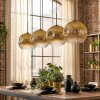 Ripoll Lampadario a sospensione, Lampada a sfera, Lampada a sospensione Oro, Chiaro, 4-Luci