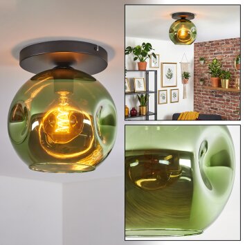 Ripoll Plafoniera, Lampada a sfera Verde, 1-Luce