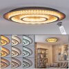Lidor Plafoniera LED Oro, Ramato, Nero, 1-Luce, Telecomando