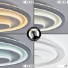 Rarel Plafoniera LED Cromo, Grigio, Argento, Bianco, 1-Luce