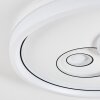 Rarel Plafoniera LED Bianco opale, Nero, Bianco, 1-Luce