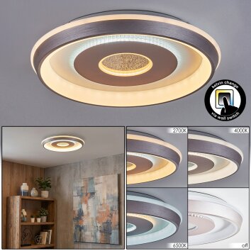 Dakon Plafoniera LED Champagne, Bianco, 1-Luce