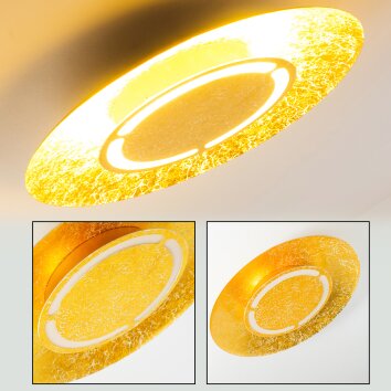 Mala Plafoniera LED Oro, 1-Luce