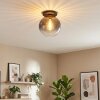 Koyoto Plafoniera, Lampada a sfera 30 cm Chiaro, Grigio fumo, 1-Luce
