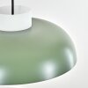 Jarik Lampadario a sospensione, Lampada a sospensione Verde, 1-Luce