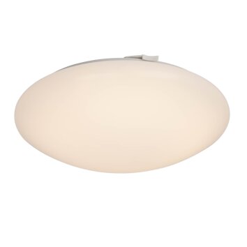 AEG Basic Plafoniera LED Bianco, 1-Luce