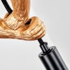 Evelis Lampadario a sospensione, Lampada a sospensione Oro, Nero, 1-Luce