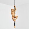 Evelis Lampadario a sospensione, Lampada a sospensione Oro, Nero, 1-Luce