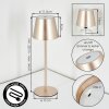 Salgadinho Lampada da tavolo per esterno, Lampada da tavolo LED Champagne, 1-Luce