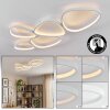 Molin Plafoniera LED Bianco, 1-Luce